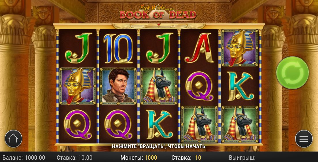 Book of Dead slot spel